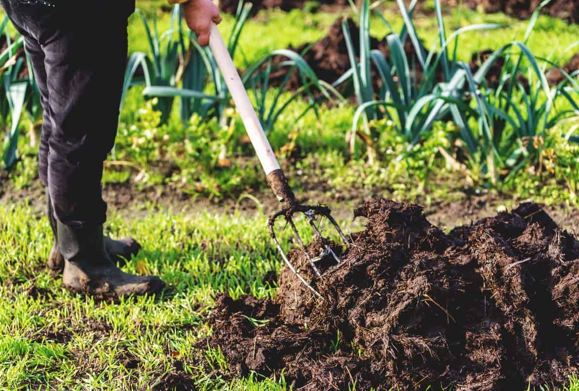 Nachhaltige Gartenpflege: Umweltfreundliche Strategien für einen grünen Außenbereich