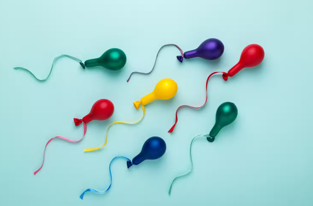 Von Biologie zu Mitgefühl: Die menschliche Seite des Lebensspendens verstehen